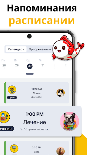 здоровье питомцы собаки кошка